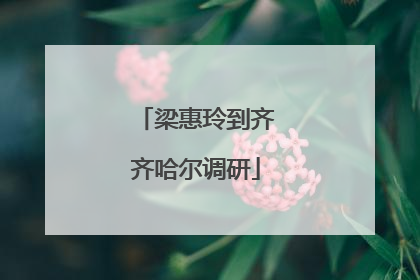 梁惠玲到齐齐哈尔调研