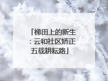 梯田上的新生：云和社区矫正五载耕耘路