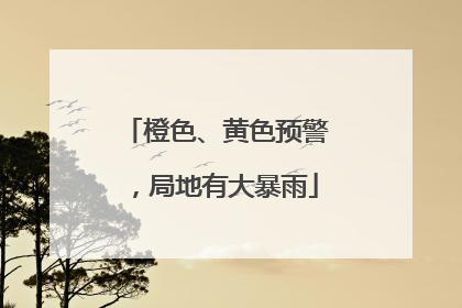 橙色、黄色预警，局地有大暴雨