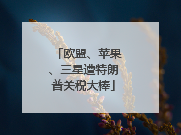欧盟、苹果、三星遭特朗普关税大棒