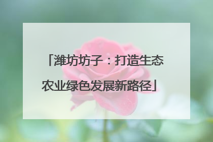 潍坊坊子：打造生态农业绿色发展新路径