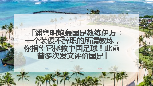 潘粤明炮轰国足教练伊万：一个装傻不辞职的所谓教练，你指望它拯救中国足球！此前曾多次发文评价国足