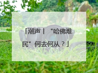 潮声丨“哈佛难民”何去何从？