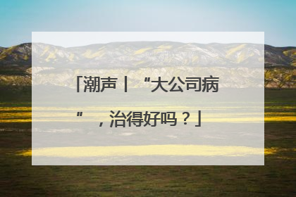 潮声丨“大公司病”，治得好吗？