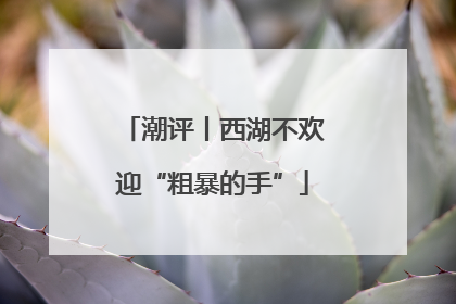潮评丨西湖不欢迎“粗暴的手”