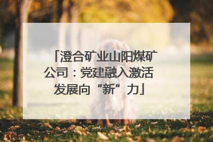 澄合矿业山阳煤矿公司：党建融入激活发展向“新”力