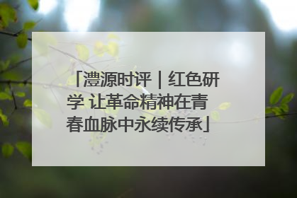 澧源时评｜红色研学 让革命精神在青春血脉中永续传承