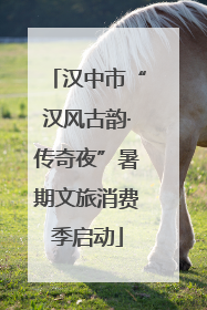 汉中市“汉风古韵·传奇夜”暑期文旅消费季启动
