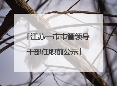 江苏一市市管领导干部任职前公示