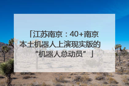 江苏南京：40+南京本土机器人上演现实版的“机器人总动员”