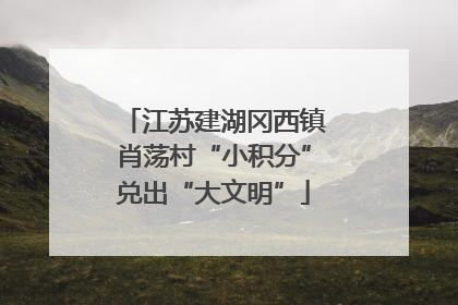 江苏建湖冈西镇肖荡村“小积分”兑出“大文明”