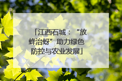 江西石城：“放蜂治蚜”助力绿色防控与农业发展