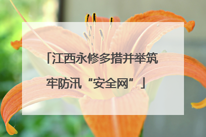 江西永修多措并举筑牢防汛“安全网”