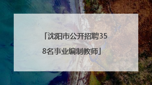 沈阳市公开招聘358名事业编制教师