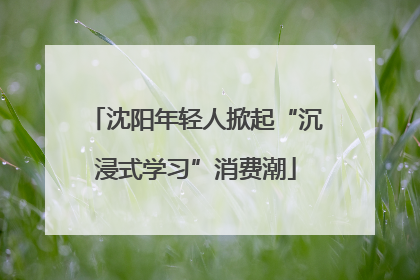 沈阳年轻人掀起“沉浸式学习”消费潮