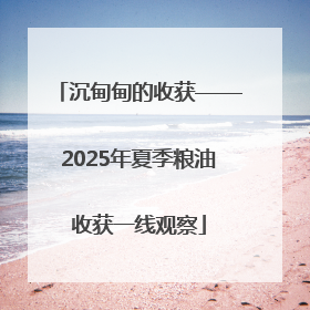 沉甸甸的收获——2025年夏季粮油收获一线观察