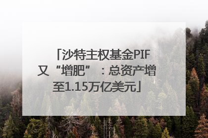 沙特主权基金PIF又“增肥”：总资产增至1.15万亿美元