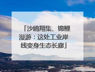 沙鸥翔集、锦鲤漫游:这处工业岸线变身生态长廊