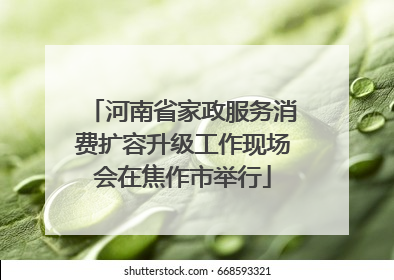 河南省家政服务消费扩容升级工作现场会在焦作市举行