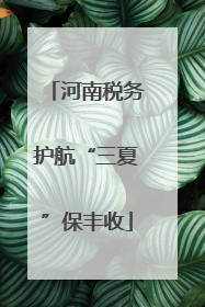 河南税务护航“三夏”保丰收