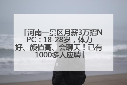 河南一景区月薪3万招NPC：18-28岁，体力好、颜值高、会聊天！已有1000多人应聘