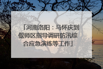 河南洛阳：马怀庆到偃师区指导调研防汛综合应急演练等工作