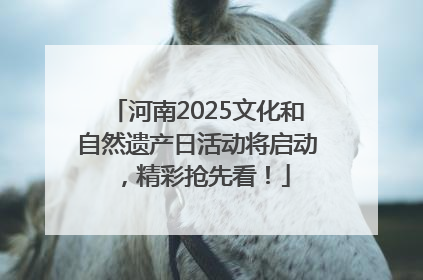 河南2025文化和自然遗产日活动将启动，精彩抢先看！