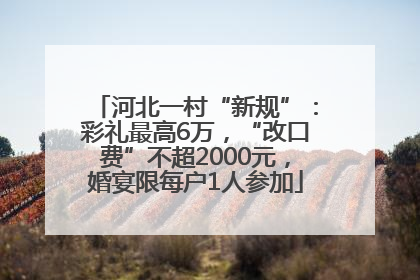 河北一村“新规”：彩礼最高6万，“改口费”不超2000元，婚宴限每户1人参加
