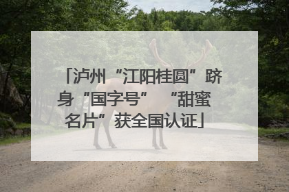 泸州“江阳桂圆”跻身“国字号” “甜蜜名片”获全国认证