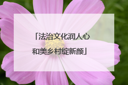 法治文化润人心 和美乡村绽新颜