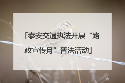 泰安交通执法开展“路政宣传月”普法活动