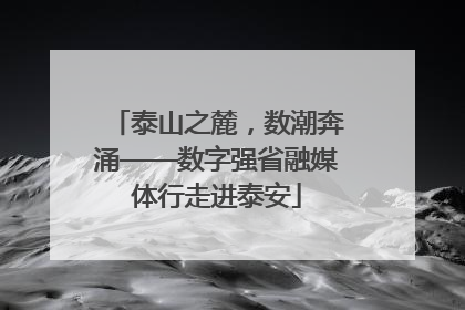 泰山之麓，数潮奔涌——数字强省融媒体行走进泰安