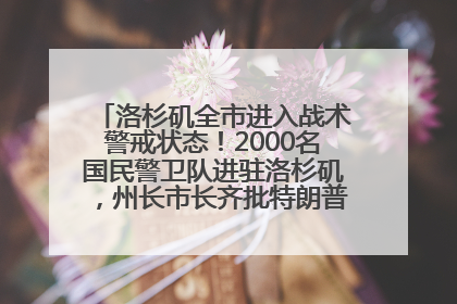 洛杉矶全市进入战术警戒状态！2000名国民警卫队进驻洛杉矶，州长市长齐批特朗普“制造混乱”