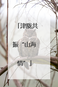 津陇共振“山海情”