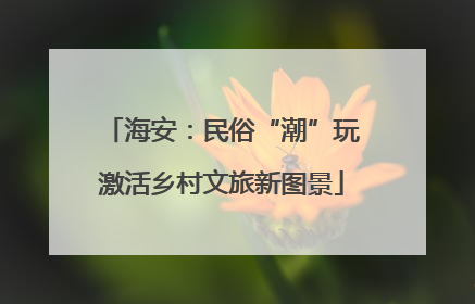 海安：民俗“潮”玩激活乡村文旅新图景