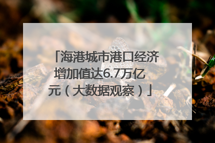 海港城市港口经济增加值达6.7万亿元（大数据观察）