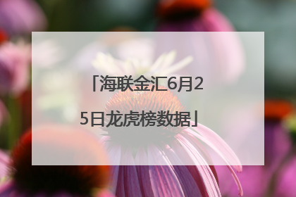 海联金汇6月25日龙虎榜数据