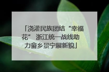 浇灌民族团结“幸福花” 浙江统一战线助力畲乡景宁展新貌