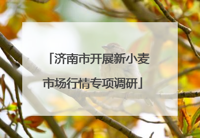 济南市开展新小麦市场行情专项调研