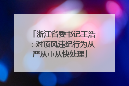 浙江省委书记王浩：对顶风违纪行为从严从重从快处理