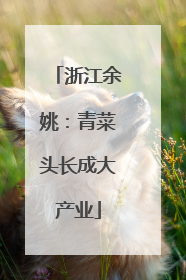 浙江余姚：青菜头长成大产业