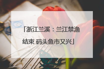 浙江兰溪：兰江禁渔结束 码头鱼市又兴
