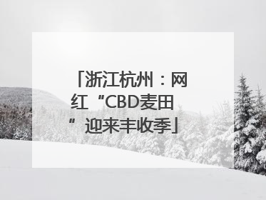 浙江杭州：网红“CBD麦田”迎来丰收季