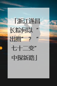 浙江遂昌长粽何以“出圈”？“七十二变”中探新路