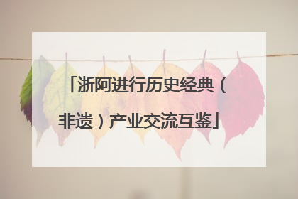 浙阿进行历史经典（非遗）产业交流互鉴