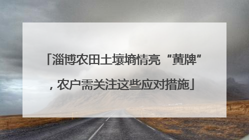 淄博农田土壤墒情亮“黄牌”，农户需关注这些应对措施
