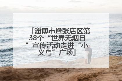 淄博市暨张店区第38个“世界无烟日”宣传活动走进“小义乌”广场