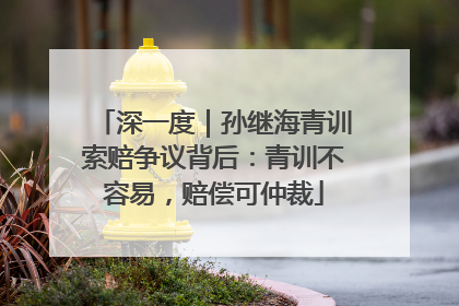 深一度｜孙继海青训索赔争议背后：青训不容易，赔偿可仲裁