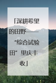 深耕希望的田野——“综合试验田”里庆丰收