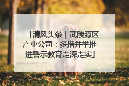清风头条｜武陵源区产业公司：多措并举推进警示教育走深走实